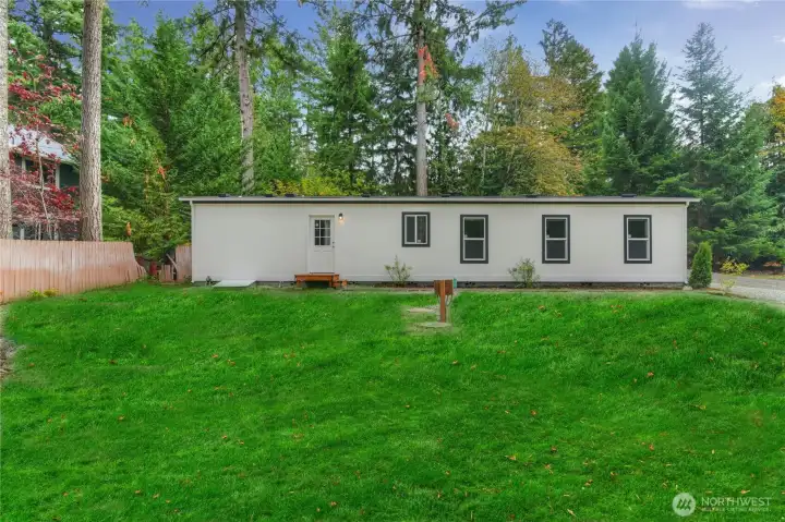Backyard photo has staged grass