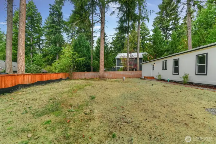 Backyard photo with hydroseed sprayed in