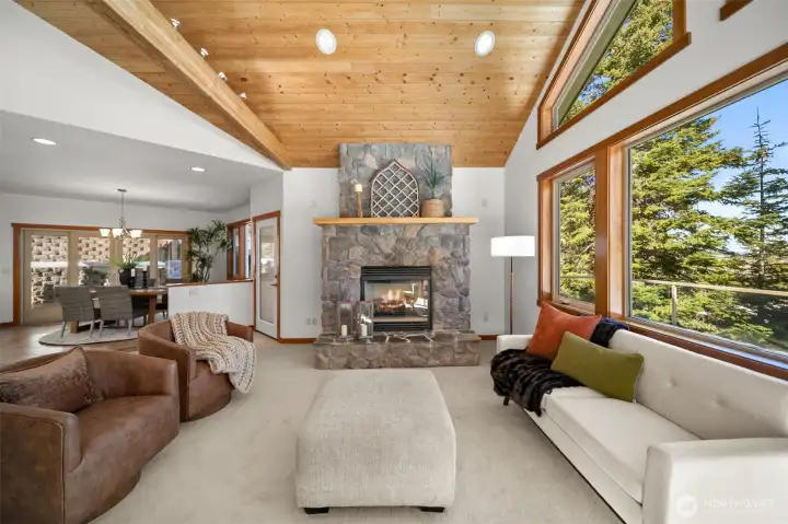 Cedar framed windows and doors