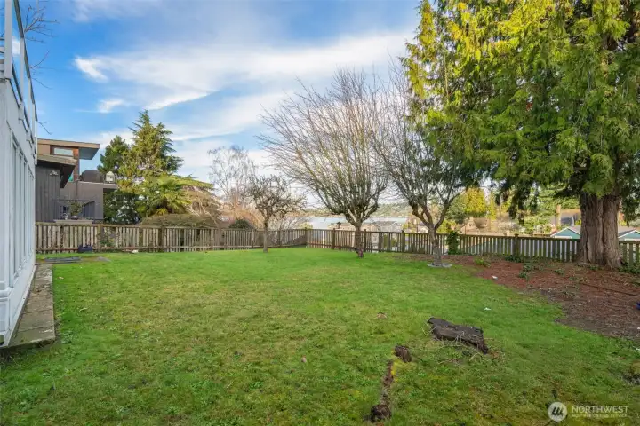 Spacious backyard, largely level and perfect for outdoor enjoyment