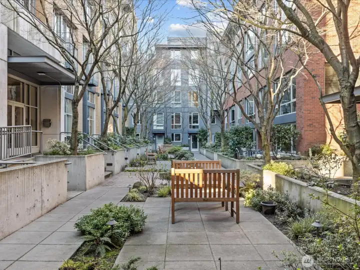 Central courtyard = urban oasis