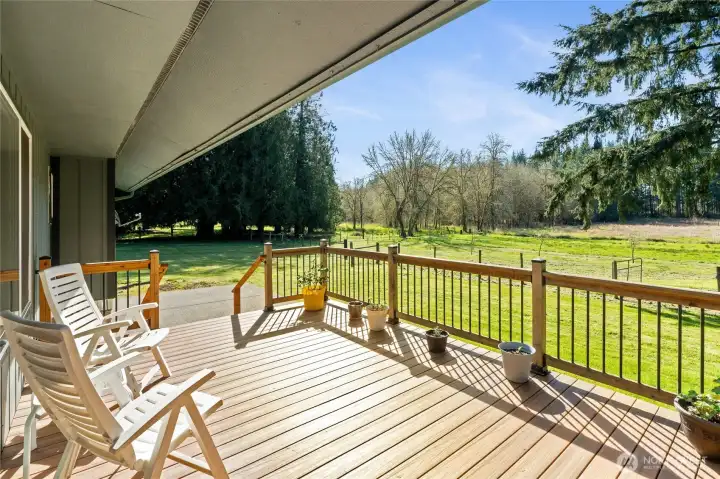 Trex Deck on the back with infinite views of greenery.