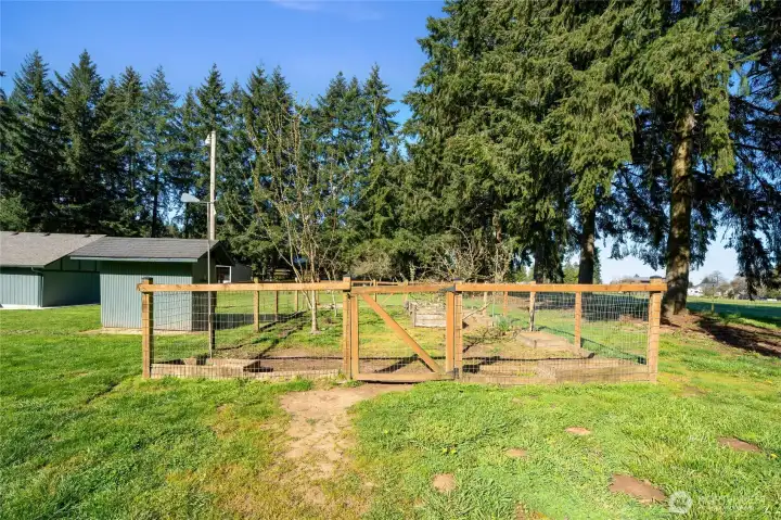 Garden area for your fruits and veggies