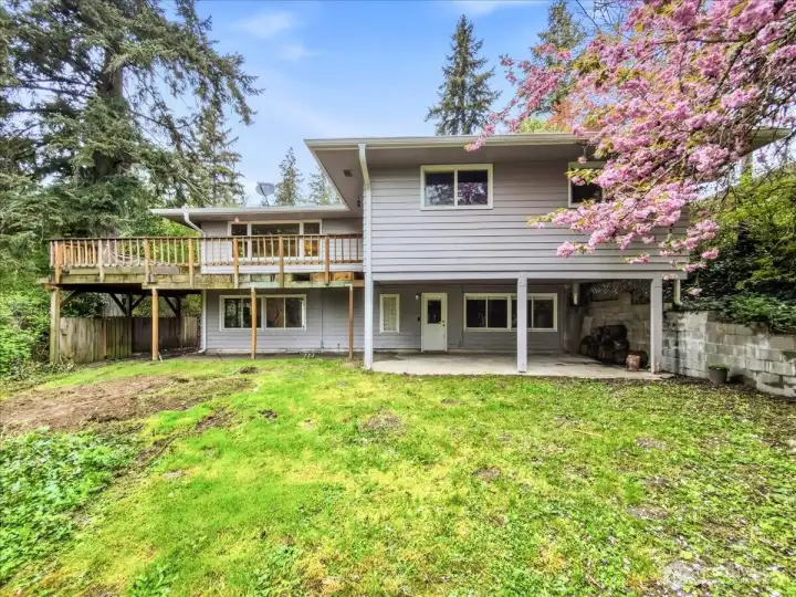 This secluded backyard is perfect for entertaining . The upper level offers a wrap around deck while the the ground level features a large covered patio that opens directly onto the spacious lawn.