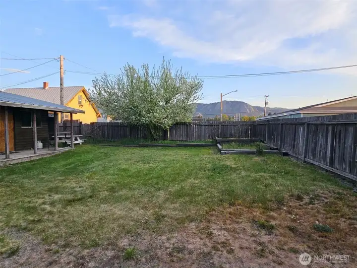 HUGE fenced in back yard with wood shed/shop and drive through gate