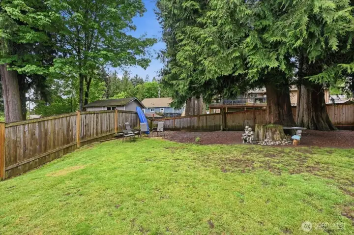 Private back yard