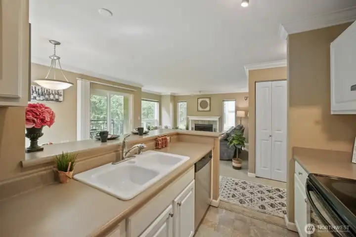 Two bay, porcelain sink with telescoping faucet