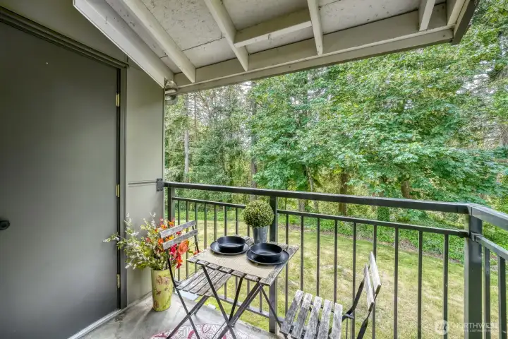 Privacy awaits on the covered deck overlooking the greenbelt ravine area of "Joe's Creek." No one behind you- just the trees! You can watch the trees change colors through the year. Great grassy areas throughout the community. Notice the storage space on left