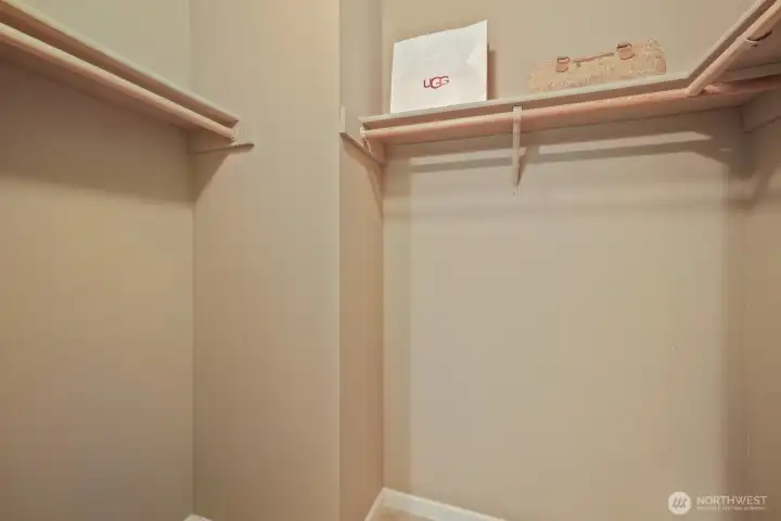 Primary bedroom, walk-in closet with light
