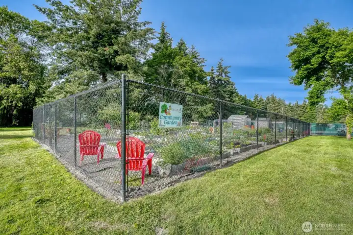 Community garden located at the Main Gated, tree lined entry- gives entry a very luxurious feel.