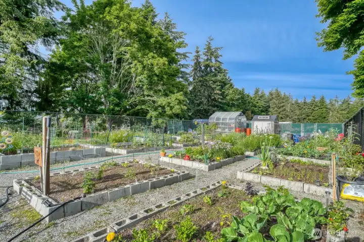 Community garden is in full bloom with Flowers, berries, vegetables & herbs.  Secure RV/Boat parking is just on the other side of this pictured fencing.