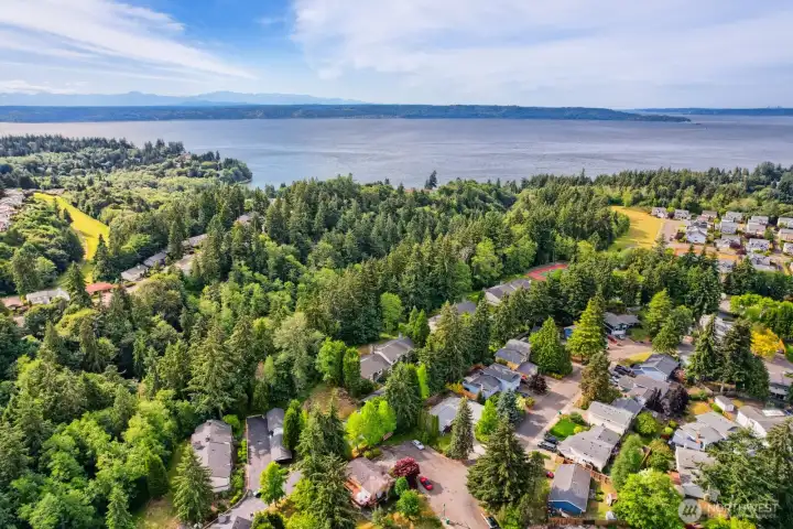 Very close to Dumas Bay and Redondo boardwalk at Poverty Bay to the Northeast; Dash Point and Brown's Point to the South. As you can see, Madera West is situated amongst established neighborhoods with many trees. "Joe's Creek," the greenbelt area you'll back to is pictured here
