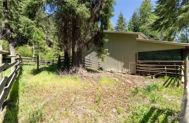 Back of the shop, fenced area