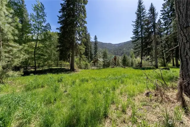 Fenced pasture