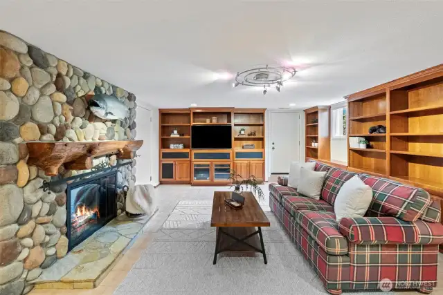 Lower floor media room
