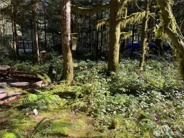 Very large lot, and well maintained.