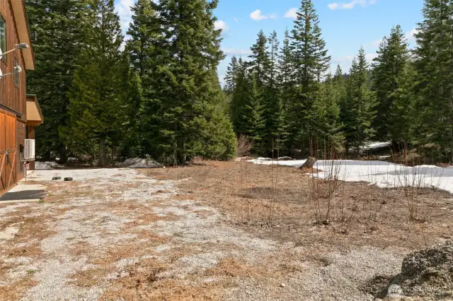 Perfect cleared area to put up your corral and covered arena to turn out your ponies.