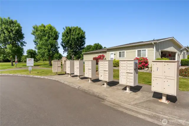 Convenient and secure community mailbox hub in Lakeview Meadows, a vibrant 55+ neighborhood in Lacey, WA. Surrounded by beautifully landscaped grounds and just steps from nearby homes, this setup ensures easy daily access for residents.