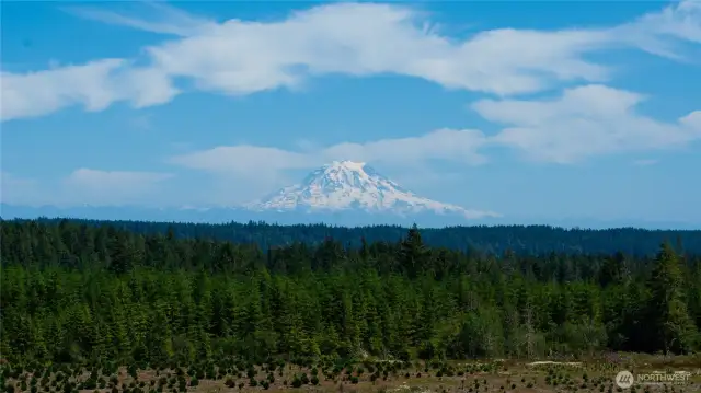 You can "see for miles and miles and miles and miles"