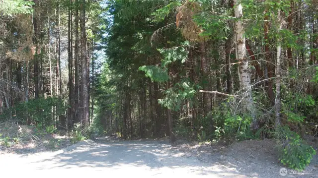 Drone pictures will be coming soon! Make an apointment to come see all this has to offer It's some of the best property I've seen regionally offering these huge Cascade range & territorial views. Acreage is mostly level as well with a slight slope to the eastern boundaries. Building site for Lot 1 was not yet ready to photograph.