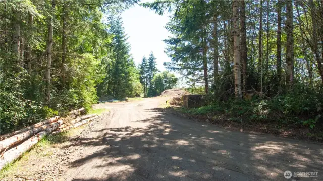 Road & Driveway project is in progress to best view building site. Power on property, 4 bed Septic design & permitting process as well as Drilled Welll Permit in process. Easy to drive here to get the gist of it all.