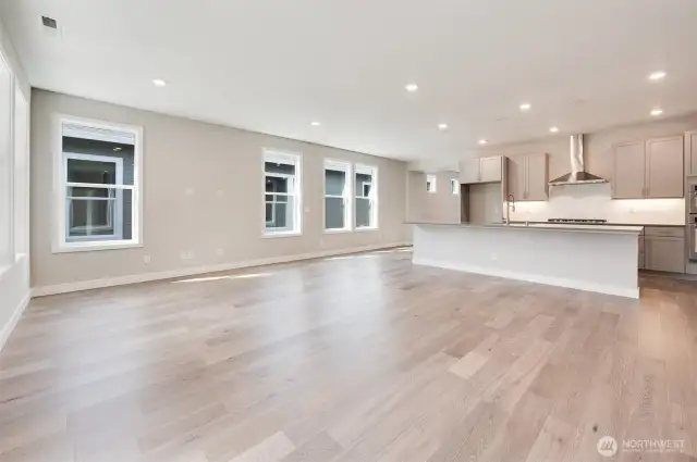 Large great room