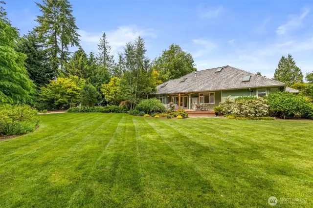 Perfectly sized level backyard for yard games, animals and more!  Create your dream backyard!
