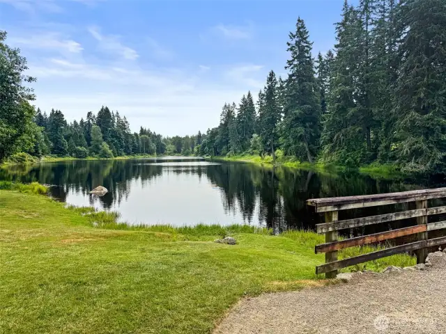 The lake in Lake of the Woods.  Great for fishing, paddle boarding, swimming or just relaxing on the shoreline.