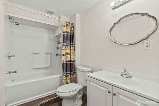 lower level full bath