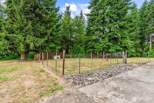 garden area