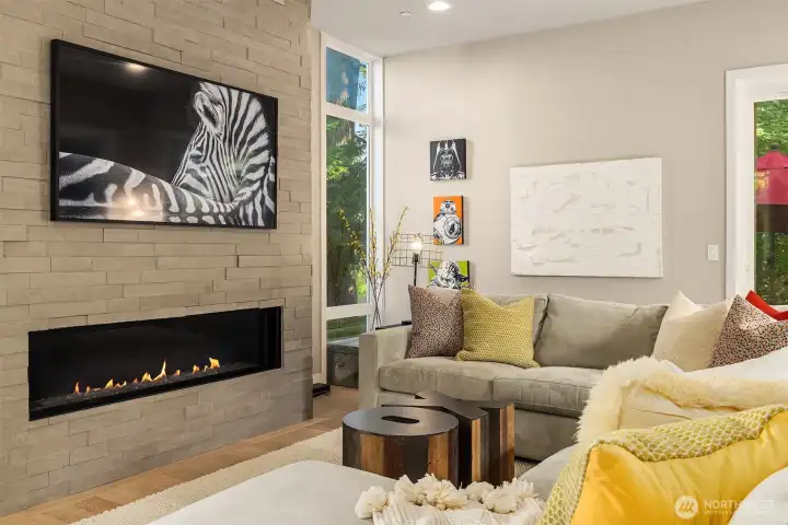 Gas fireplace and media set up