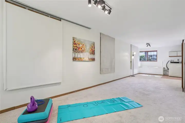 Brand new carpet in the lower area room.