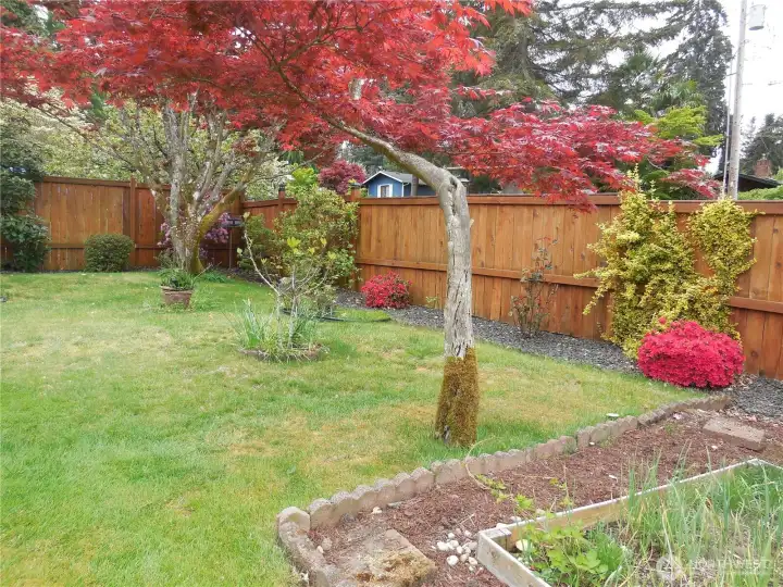 Yard2