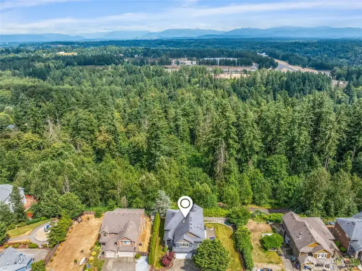 Aerial views showcase the large lot and quiet neighborhood.