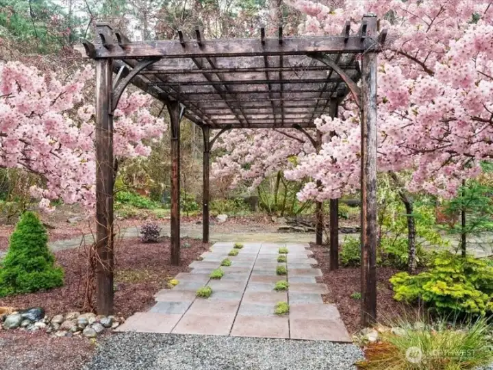 Open trellis over a pavered walkway with overhead trellis, surrounded by cherry blossoms with creating a serene, retreat feel in the back yard