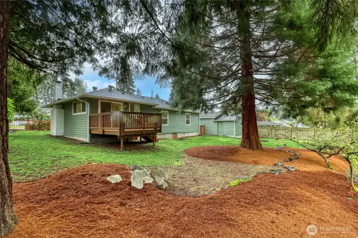 Primary bedroom opens to a private back deck with steps leading to the spacious backyard.