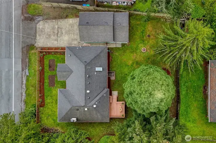 Large lot with safe space to play!