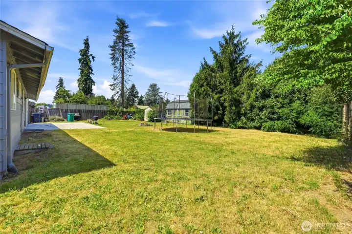 Level backyard