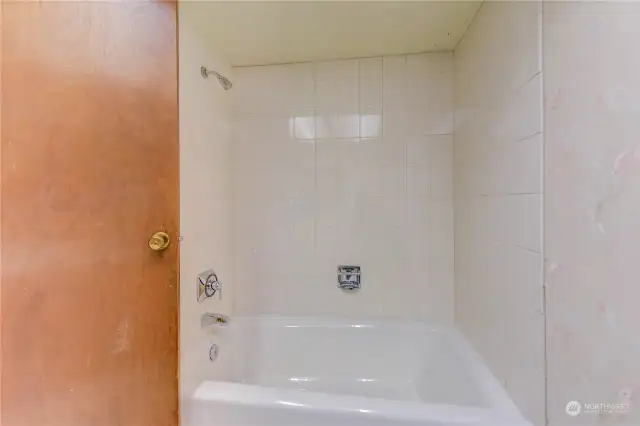 Main Shower & Tub