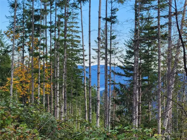 filtered view of Hood Canal