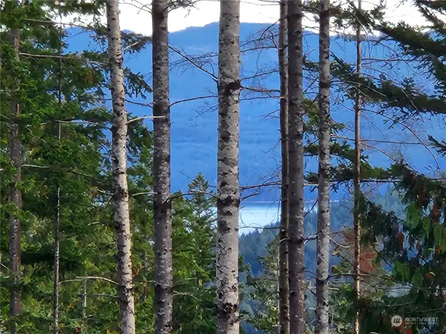 zoomed in view of Hood Canal