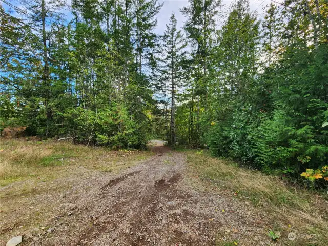 driveway into property