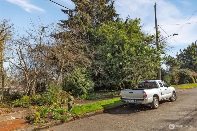Street view looking back at property.