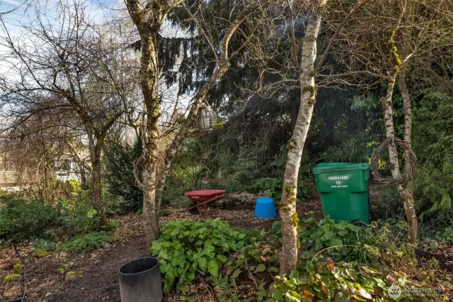 Current front portion of yard.