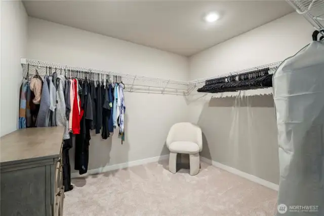 Can't forget about the massive walk-in closet!