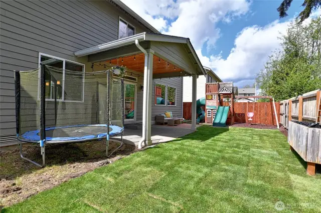 Spacious and peaceful back yard backed to a green belt