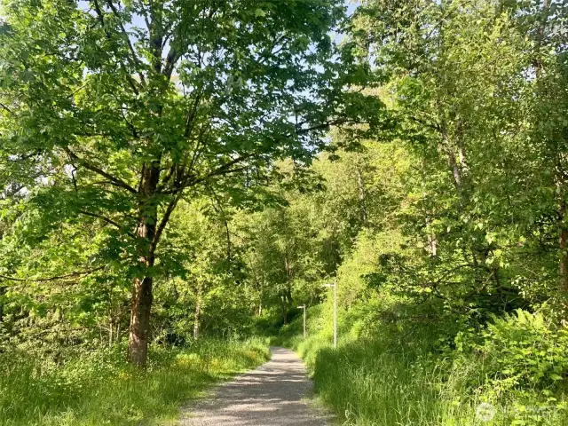 Peaceful Walking trail 2-3 blocks away