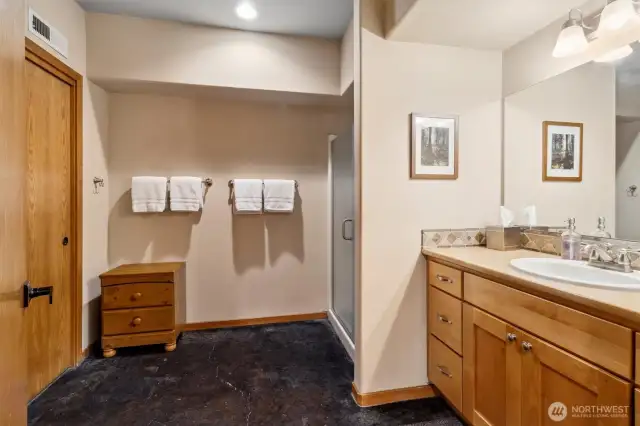 Lower level bathroom