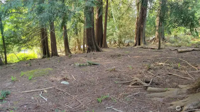 Lot is sloped - perfect for a daylight/walk-out basement
