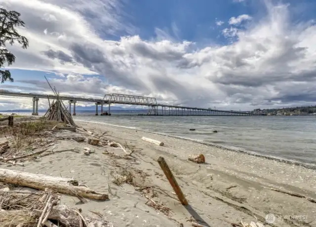 Take a leisurely stroll along the beach towards Hood Canal bridge, you'll never know what you'll find along the way...
